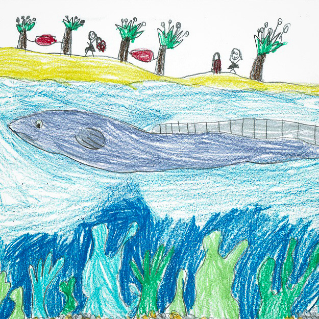 Eel drawing